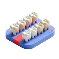 Зубы акриловые YAMAHACHI