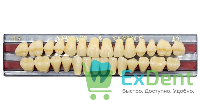Гарнитур акриловых зубов A3, TL5, Naperce и New Ace (28 шт) 20154 - фото 27469