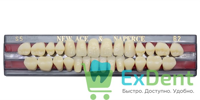 Гарнитур акриловых зубов B2, S5, Naperce и New Ace (28 шт) 18761 - фото 27474