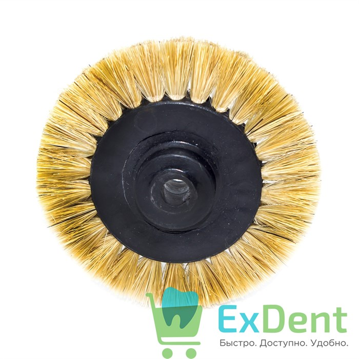 Щетка из натуральной щетины (2-х рядная) 14502 - фото 27653