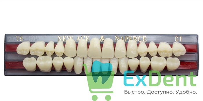 Гарнитур акриловых зубов C1, T6, Naperce и New Ace (28 шт) 20192 - фото 28953