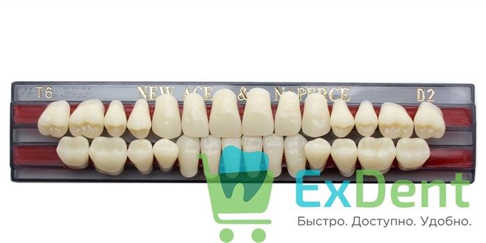 Гарнитур акриловых зубов D2, T6, Naperce и New Ace (28 шт) 18768 - фото 28954