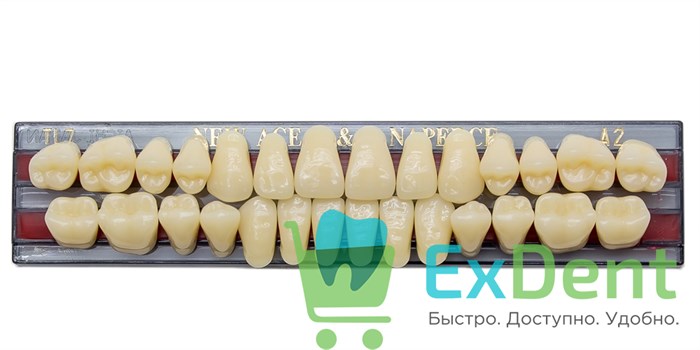 Гарнитур акриловых зубов A2, TL7, Naperce и New Ace (28 шт) 17259 - фото 29508