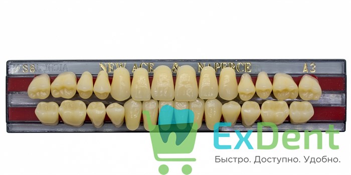 Гарнитур акриловых зубов A3, S6, Naperce и New Ace (28 шт) 20152 - фото 29959