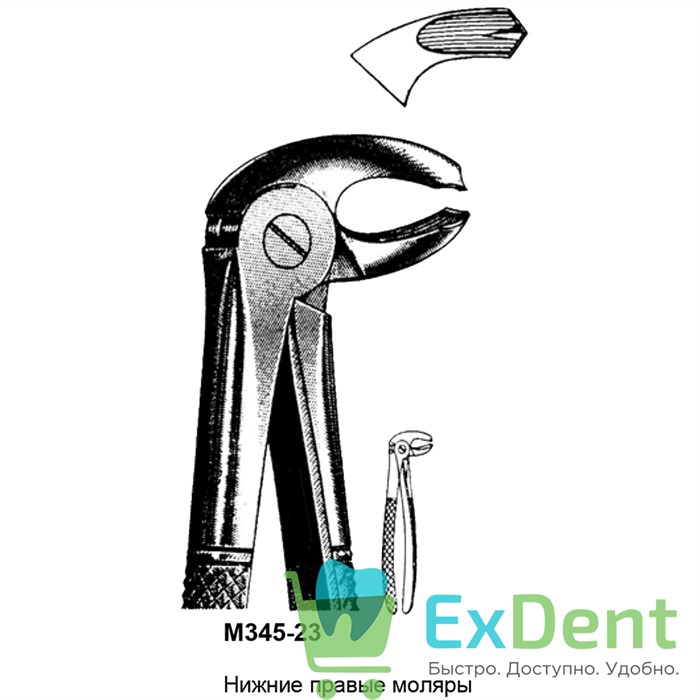 Щипцы, Legrin, №345/23 для удаления моляров нижней челюсти правой стороны 13728 - фото 32245