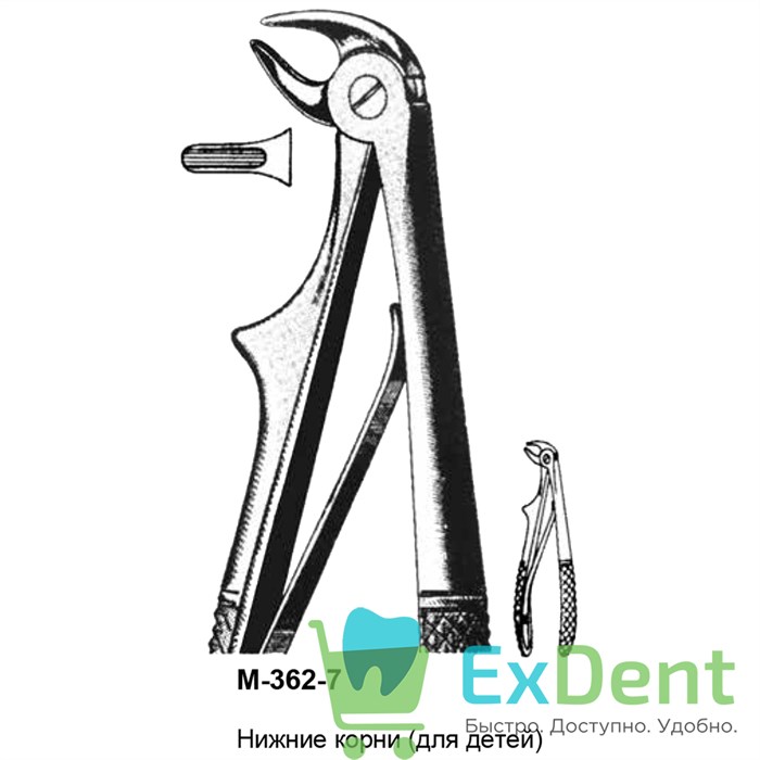 Щипцы, Legrin, №362/7 для удаления моляров нижней челюсти, для детей 20132 - фото 32248