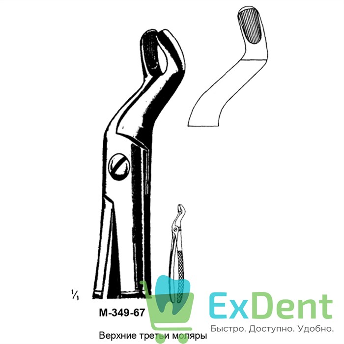 Щипцы, Legrin, №349/67 для удаления третьих моляров верхней челюсти 14480 - фото 32253
