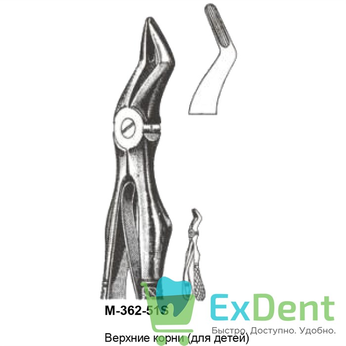 Щипцы, Legrin, №362/51S для удаления корней верхней челюсти, для детей 17852 - фото 32260