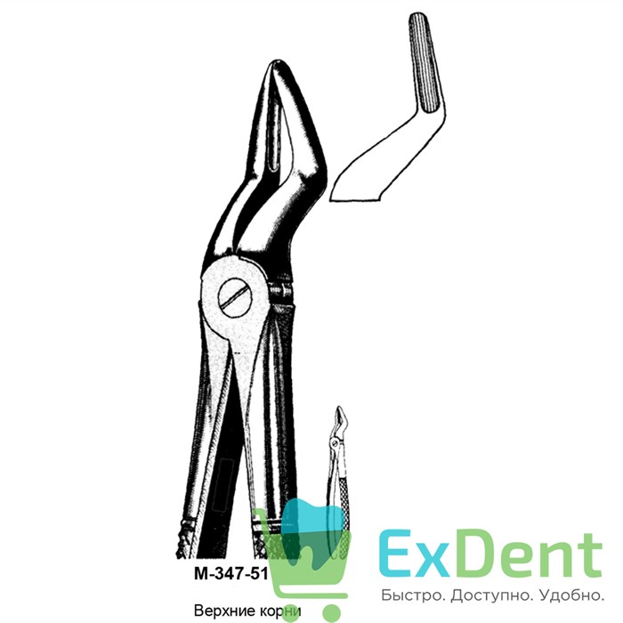 Щипцы, Legrin, №347/51 для удаления корней верхней челюсти 14518 - фото 32263