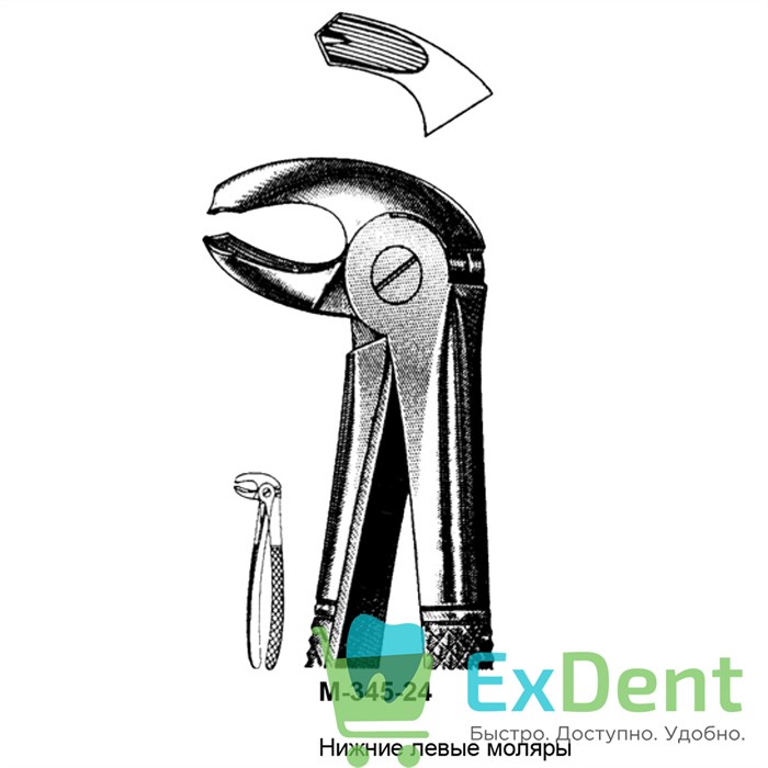 Щипцы, Legrin, №345/24 для удаления нижних левых моляров 14511 - фото 32264