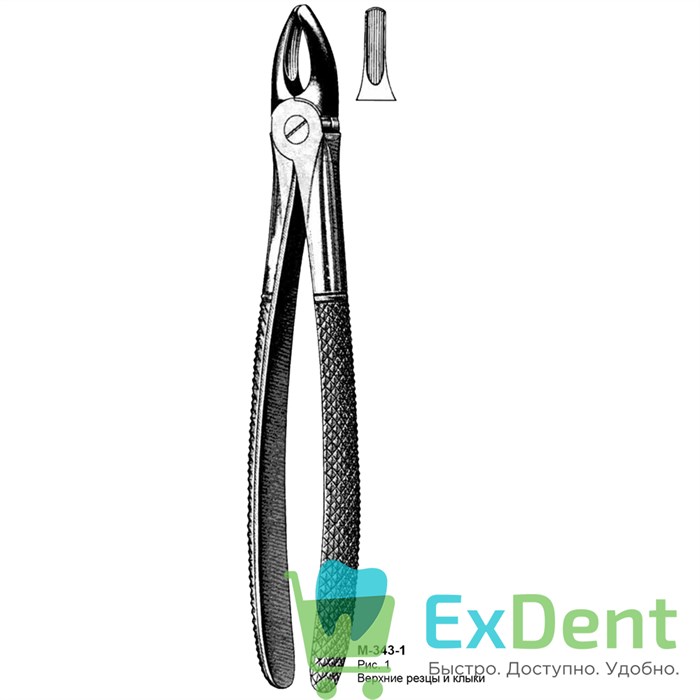 Щипцы, Legrin, №343/1 для удаления резцов и клыков верхней челюсти 20129 - фото 32273