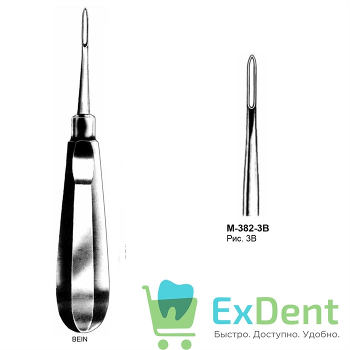 Элеватор №3B для удаления корней зубов прямой 19041 - фото 32695