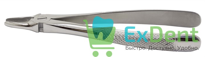 Щипцы №29 для верхних корней и резцов  (BD-700/29) 20837 - фото 32947