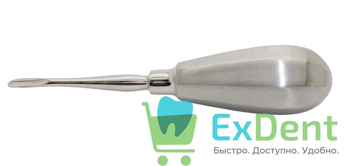 Элеватор №320 для удаления корней зубов прямой, Уайта (BD-880/8) 16281 - фото 32953