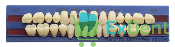 Гарнитур акриловых зубов A2, T3, M32, Million и New Ace (28 шт) 14881 - фото 34637