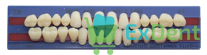 Гарнитур акриловых зубов A1, T5, M32, Million и New Ace (28 шт) 17779 - фото 34640