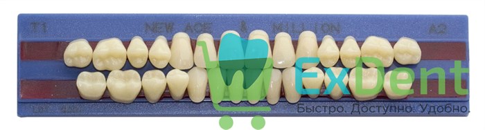 Гарнитур акриловых зубов A2, T1, M30, Million и New Ace (28 шт) 20516 - фото 34641