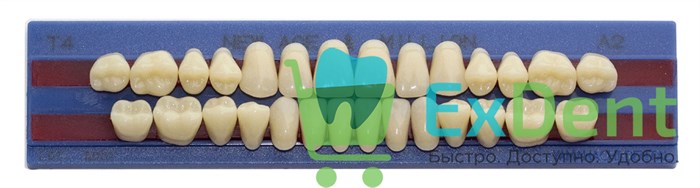 Гарнитур акриловых зубов A2, T4, M30, Million и New Ace (28 шт) 20376 - фото 34643