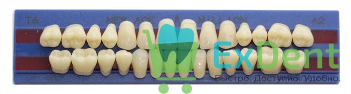 Гарнитур акриловых зубов A2, T6, M32, Million и New Ace (28 шт) 14776 - фото 34645