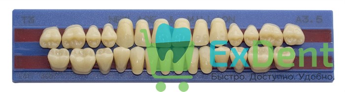 Гарнитур акриловых зубов A3,5, T3, M32, Million и New Ace (28 шт) 19047 - фото 34649