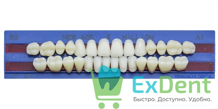 Гарнитур акриловых зубов A1, S2, M30, Million и New Ace (28 шт) 19887 - фото 35292