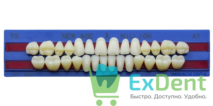 Гарнитур акриловых зубов A1, T2, M30, Million и New Ace (28 шт) 17795 - фото 35296