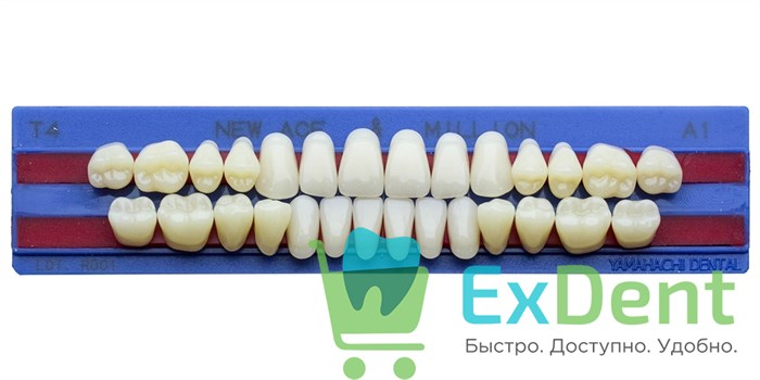 Гарнитур акриловых зубов A1, T4, M30, Million и New Ace (28 шт) 18663 - фото 35297