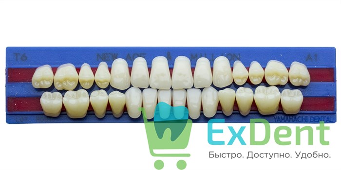 Гарнитур акриловых зубов A1, T6, M32, Million и New Ace (28 шт) 14878 - фото 35298