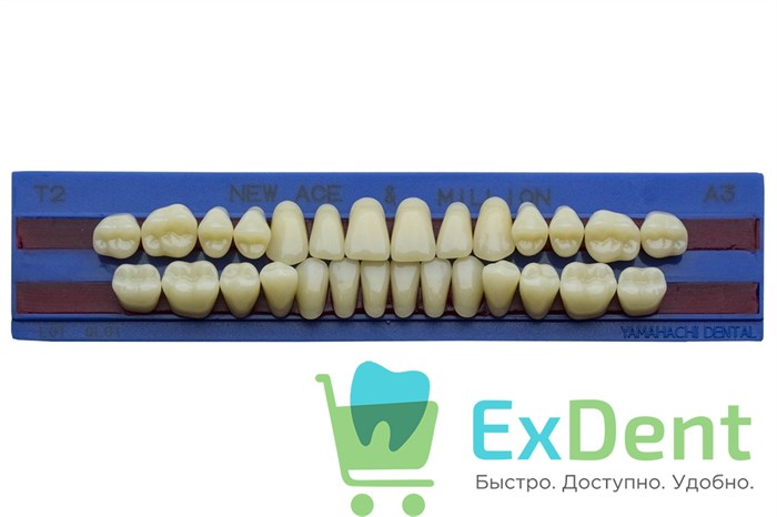 Гарнитур акриловых зубов A3, T2, M30, Million и New Ace (28 шт) 17713 - фото 35337
