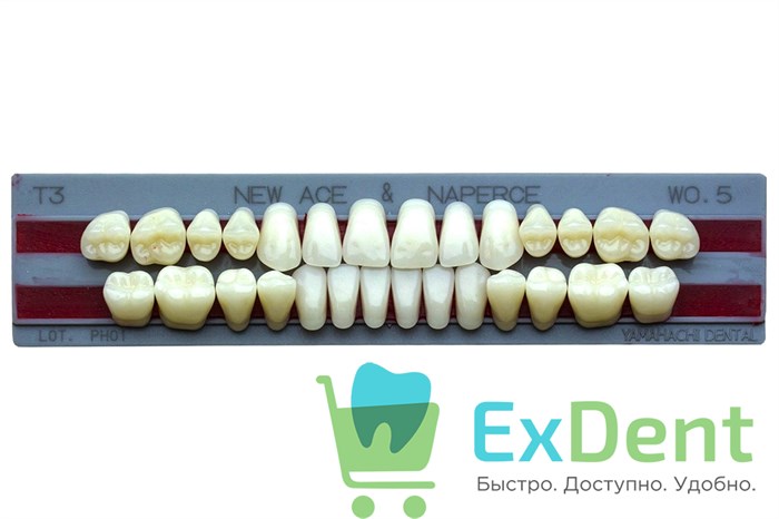 Гарнитур акриловых зубов W0.5, T3, Naperce и New Ace (28 шт) 13911 - фото 35339
