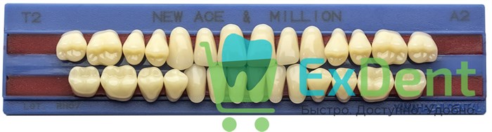 Гарнитур акриловых зубов A2, T2, M30, Million и New Ace (28 шт) 15478 - фото 35552