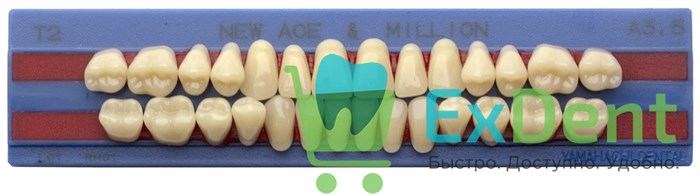 Гарнитур акриловых зубов A3,5, T2, M30, Million и New Ace (28 шт) 19608 - фото 35554