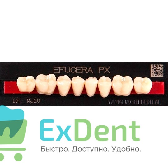 Гарнитур боковых зубов  Efucera PX - нижние, цвет A1 фасон 30, композитные трехслойные (8шт) 20487 - фото 35678