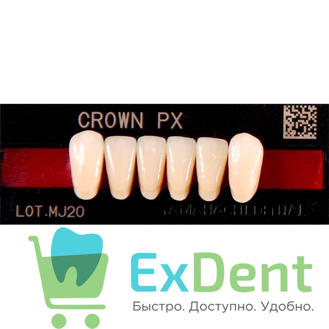 Гарнитур фронтальных зубов  Crown PX - нижние, цвет A3,5 фасон N42, композитные трехслойные (6шт) 20514 - фото 35720