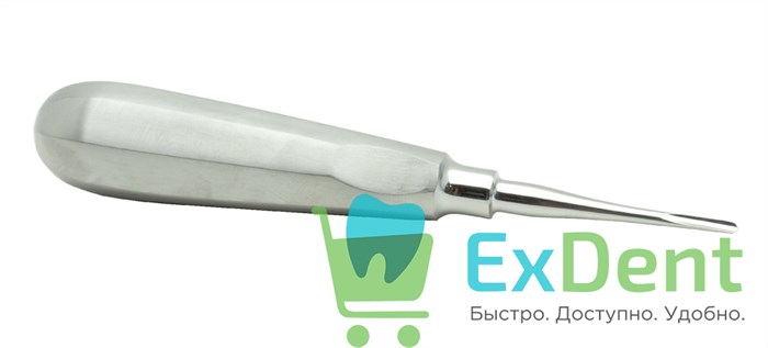 Элеватор №243 для удаления корней зубов прямой, Сельдина (BD-910/12) 17416 - фото 35989