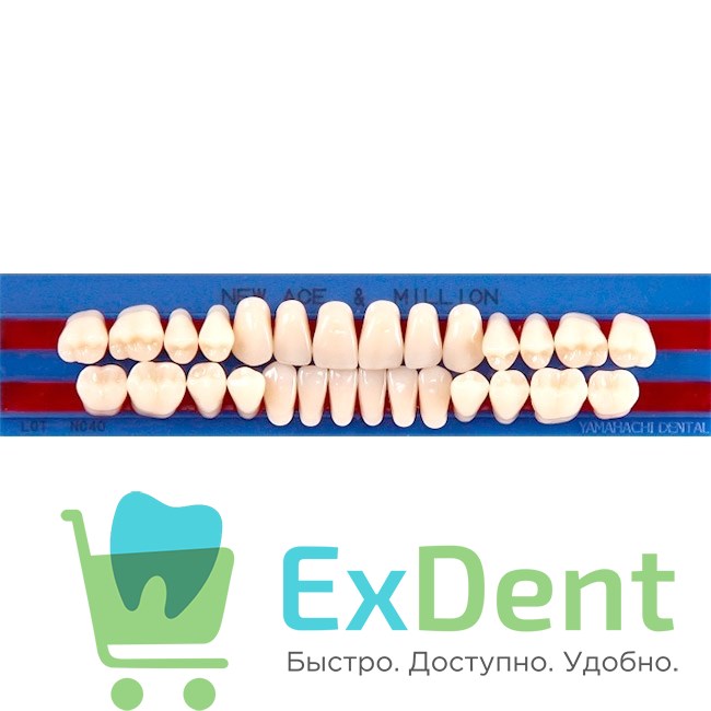 Гарнитур акриловых зубов A2, S3, M30, Million и New Ace (28 шт) 14312 - фото 36216