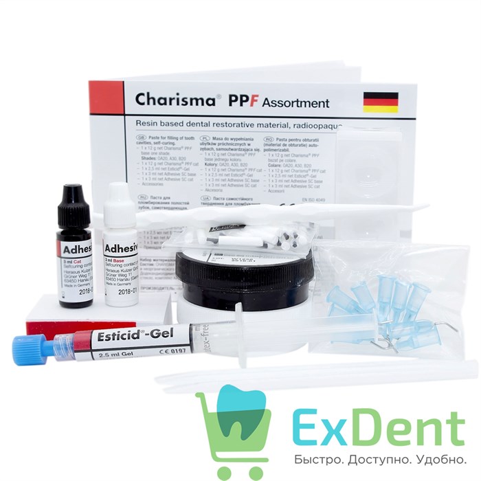 Charisma (Харизма) PPF A3 - пломбировочный материал химического отверждения (12  г+ 12 г) 13811 - фото 26540