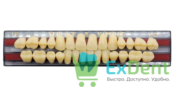 Гарнитур акриловых зубов A3,5, T6, Naperce и New Ace (28 шт) 20172 - фото 26619