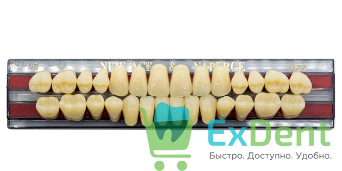Гарнитур акриловых зубов A3,5, T5, Naperce и New Ace (28 шт) 20173 - фото 26620