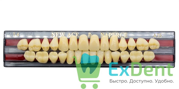 Гарнитур акриловых зубов A3,5, T4, Naperce и New Ace (28 шт) 20174 - фото 26621