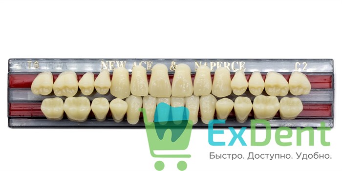 Гарнитур акриловых зубов C2, T6, Naperce и New Ace (28 шт) 20196 - фото 26638
