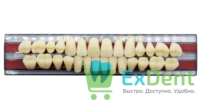 Гарнитур акриловых зубов C2, T5, Naperce и New Ace (28 шт) 20195 - фото 26640