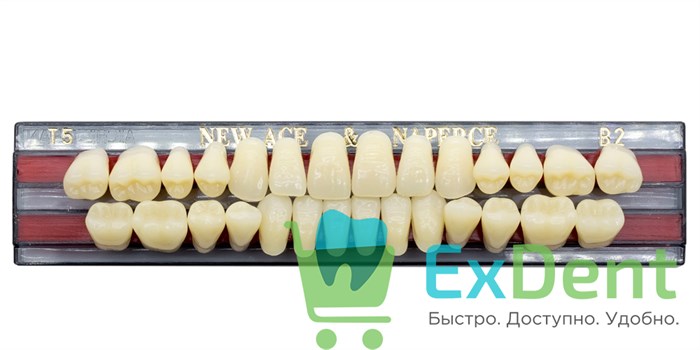 Гарнитур акриловых зубов B2, T5, Naperce и New Ace (28 шт) 20186 - фото 26644