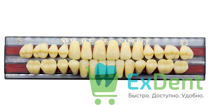 Гарнитур акриловых зубов B3, T5, Naperce и New Ace (28 шт) 20179 - фото 26649