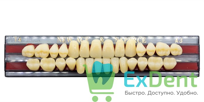Гарнитур акриловых зубов A3, T4, Naperce и New Ace (28 шт) 14086 - фото 26651