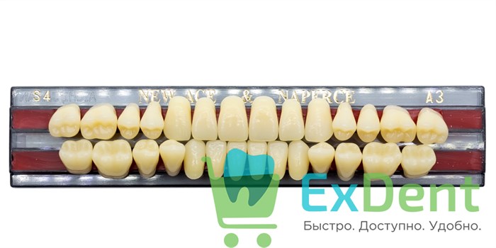 Гарнитур акриловых зубов A3, S4, Naperce и New Ace (28 шт) 14085 - фото 26658