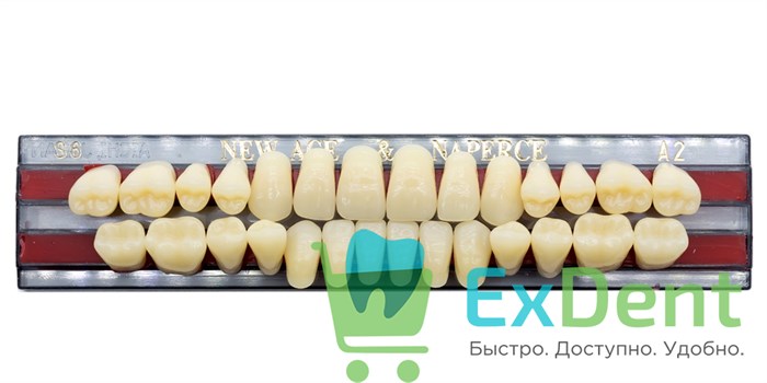 Гарнитур акриловых зубов A2, S6, Naperce и New Ace (28 шт) 20156 - фото 26665