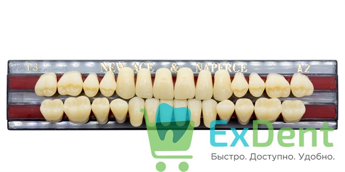 Гарнитур акриловых зубов A2, T3, Naperce и New Ace (28 шт) 20165 - фото 26667