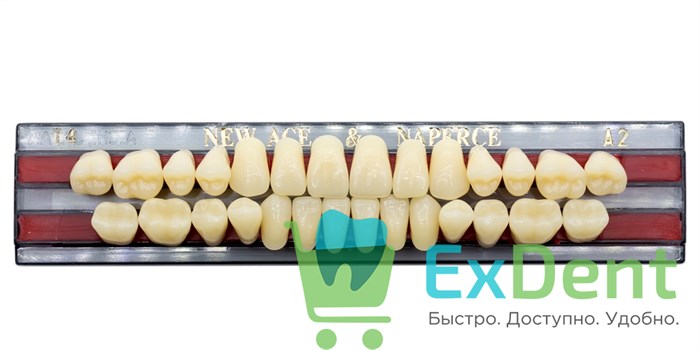 Гарнитур акриловых зубов A2, T4, Naperce и New Ace (28 шт) 14078 - фото 26668
