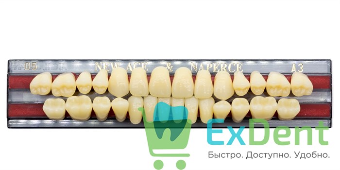 Гарнитур акриловых зубов A3, O5, Naperce и New Ace (28 шт) 19371 - фото 26676